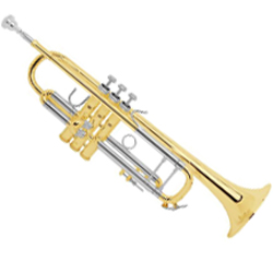 Bach Stradivarius 18037 Professional Step up Trumpet